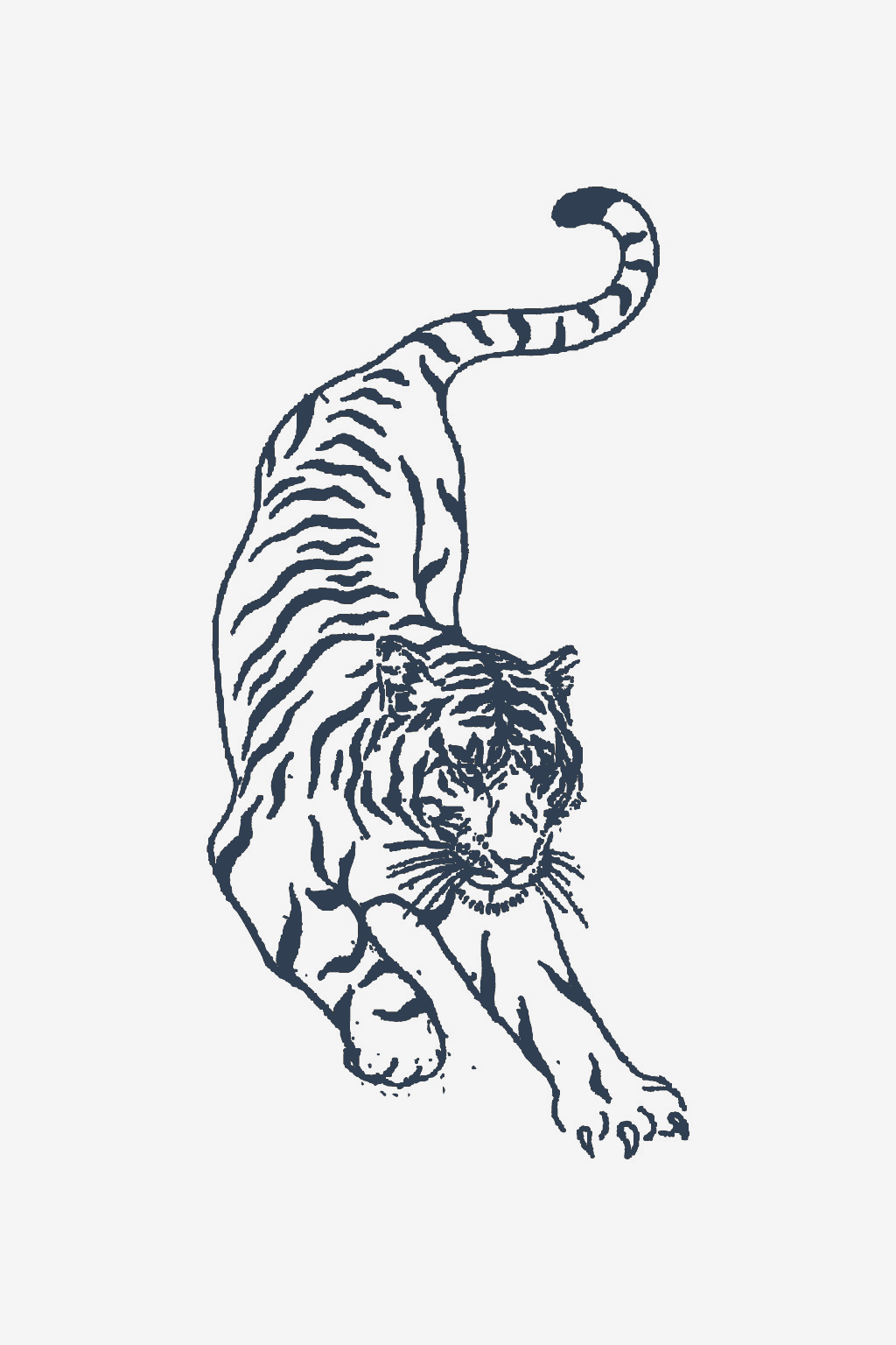 Fuerza felina
