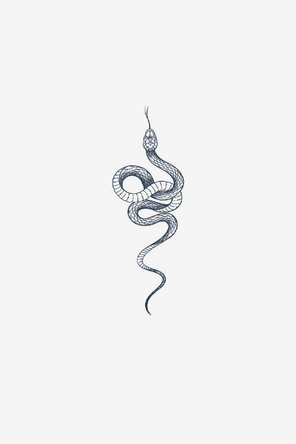 Serpiente elegante