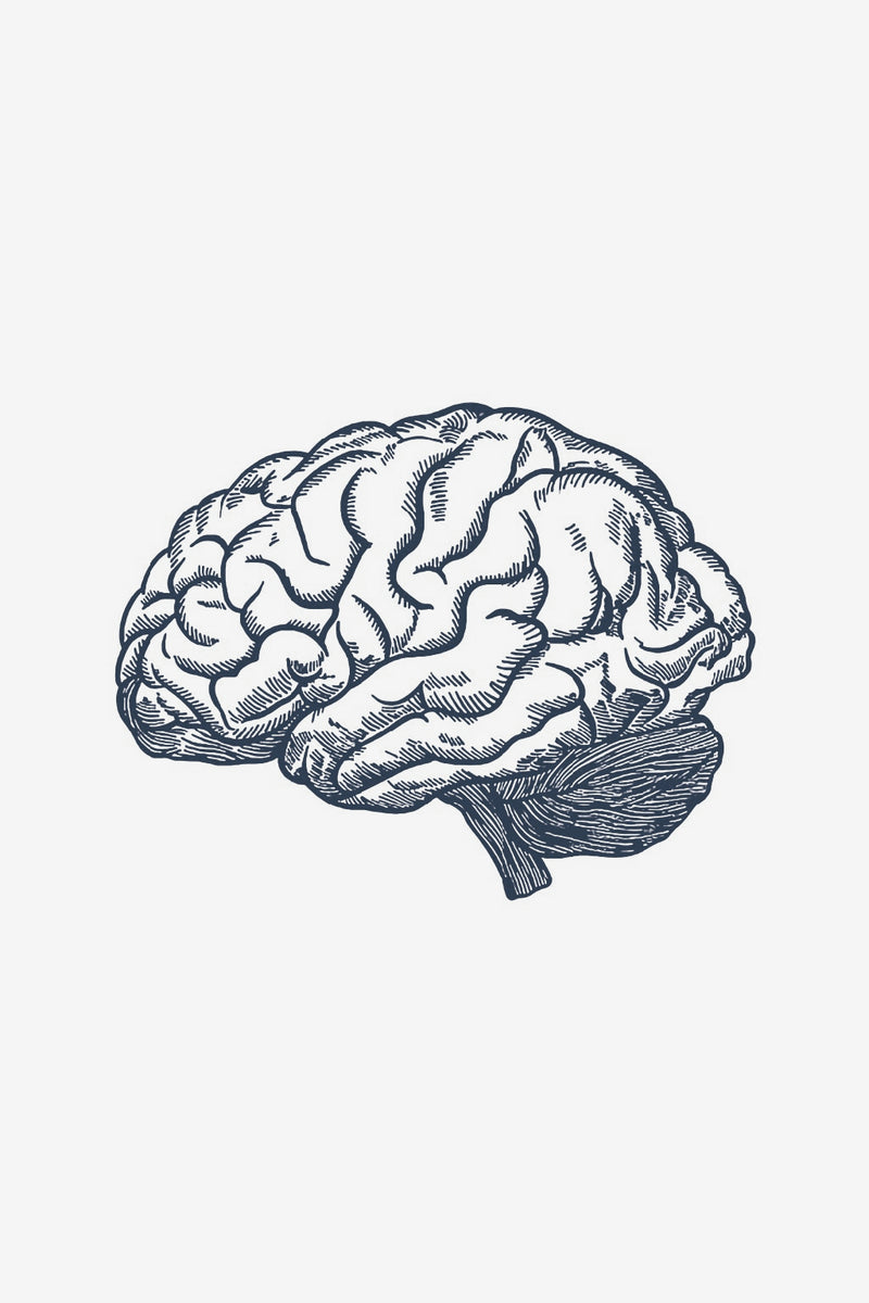 Cerebro