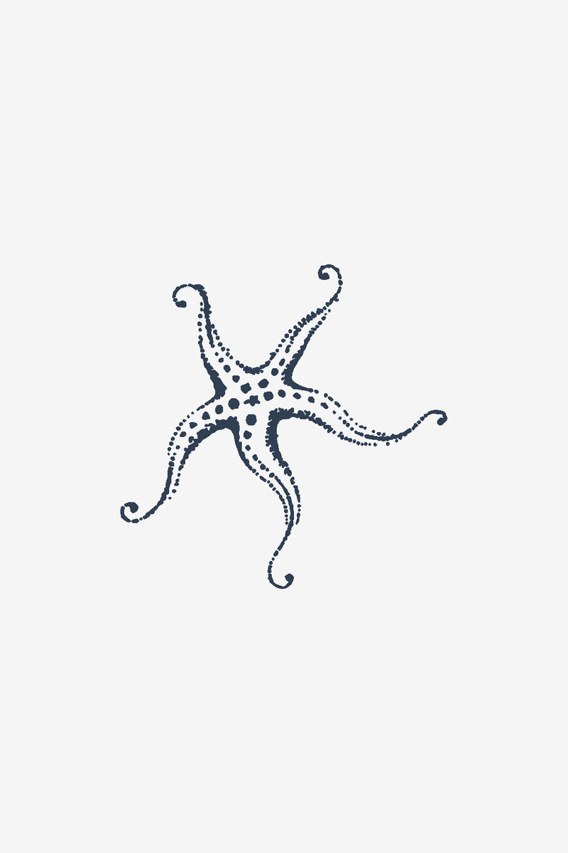 Estrella de mar 2