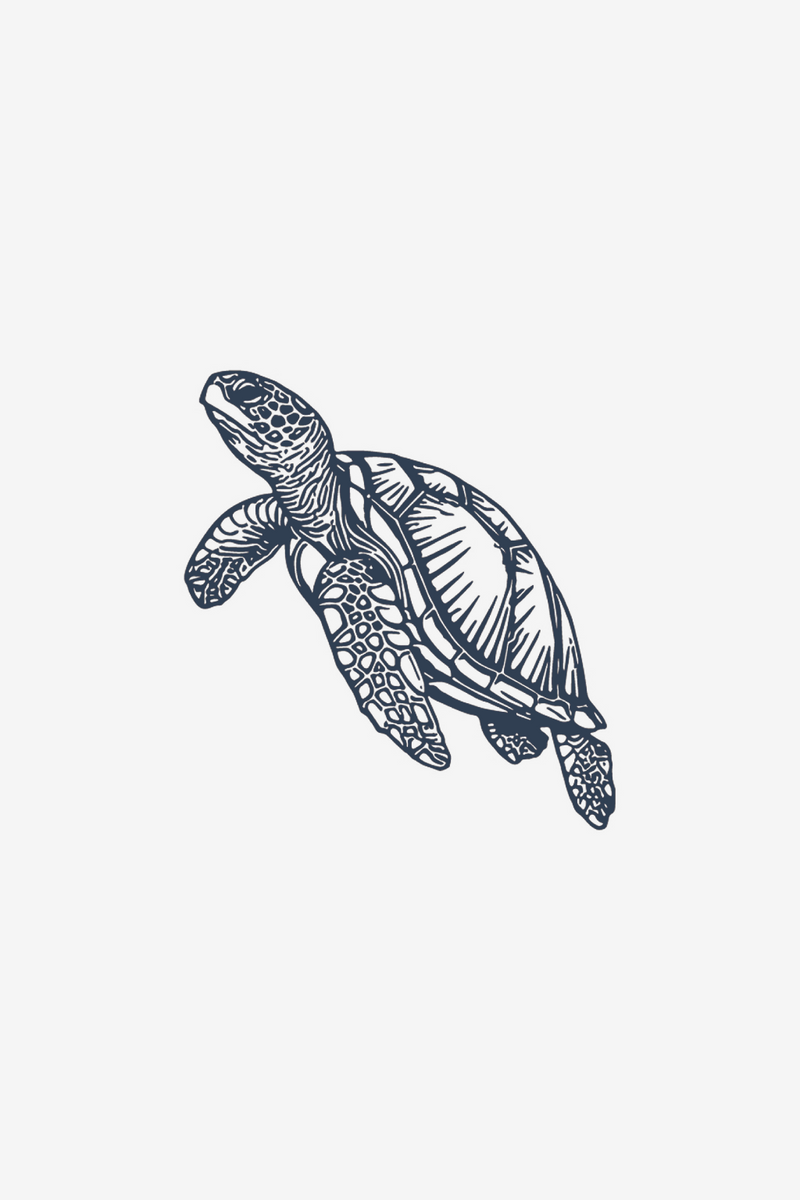 La tortuga
