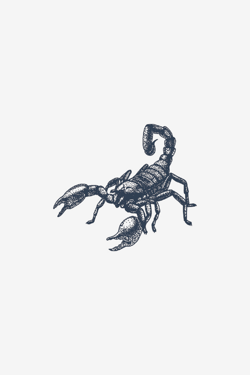 Escorpión