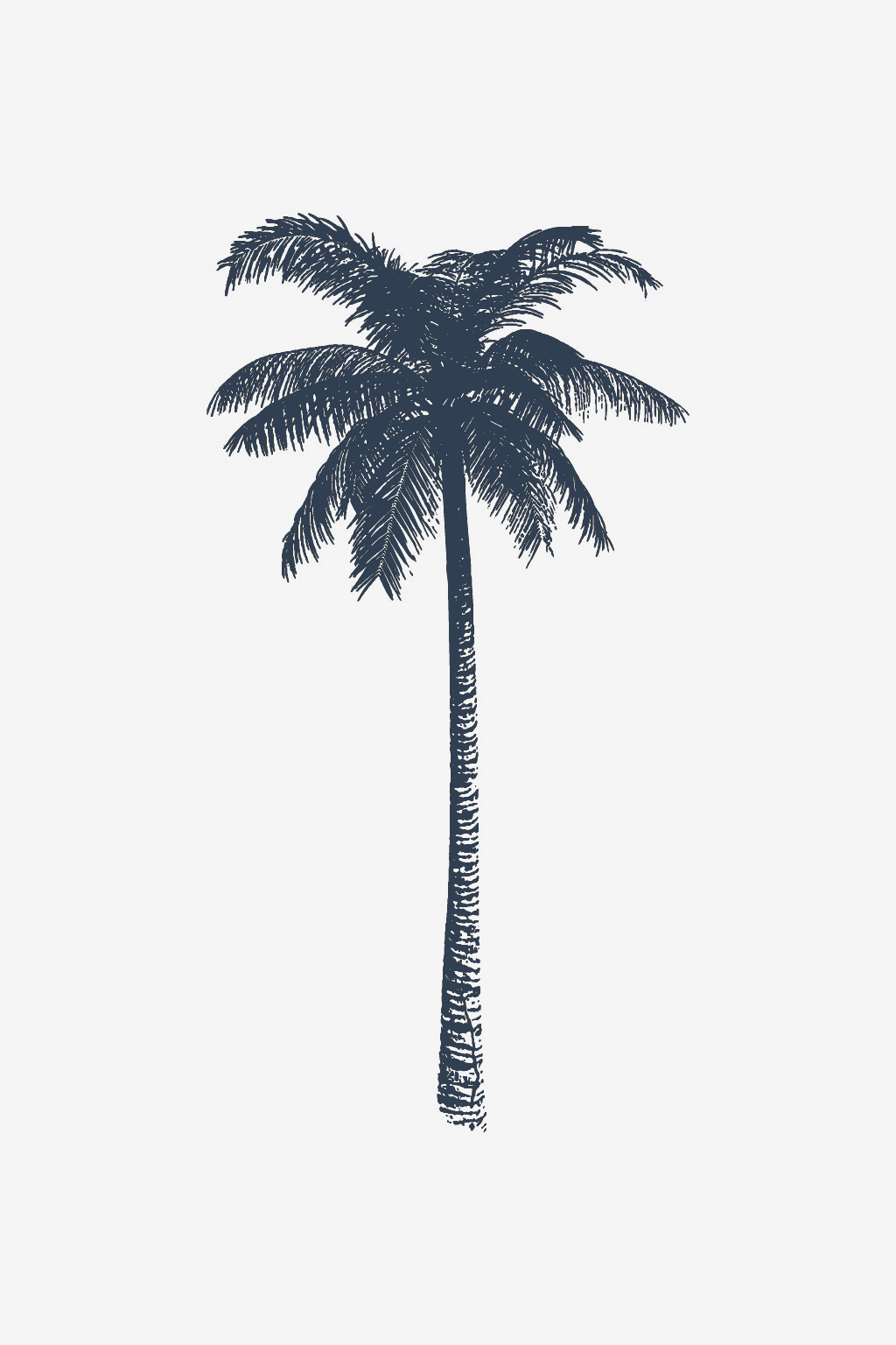 Paraíso Tropical
