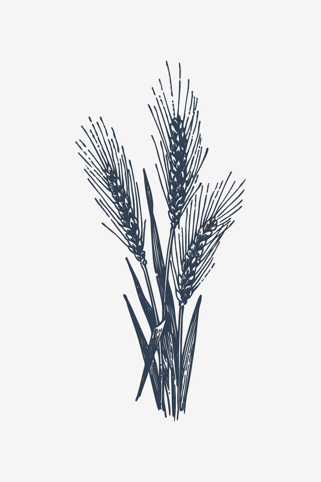 Especias de trigo