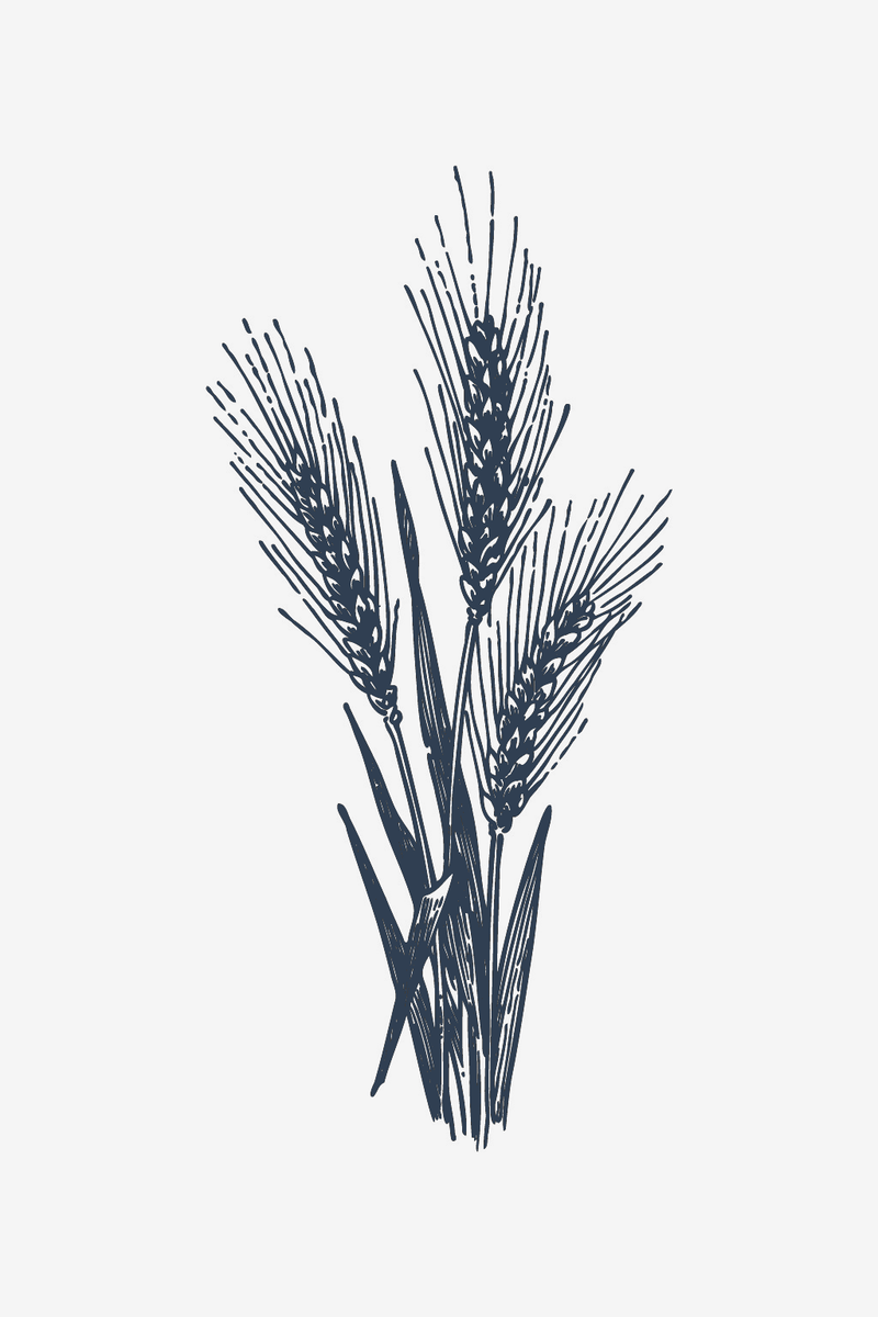 Especias de trigo