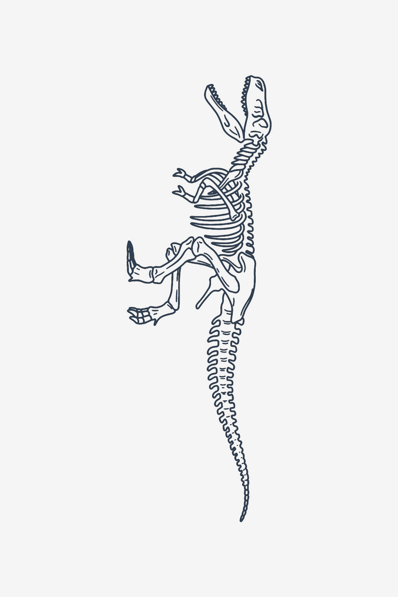 Esqueleto de tiranosaurio rex