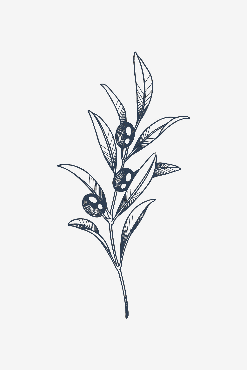 Aceituna