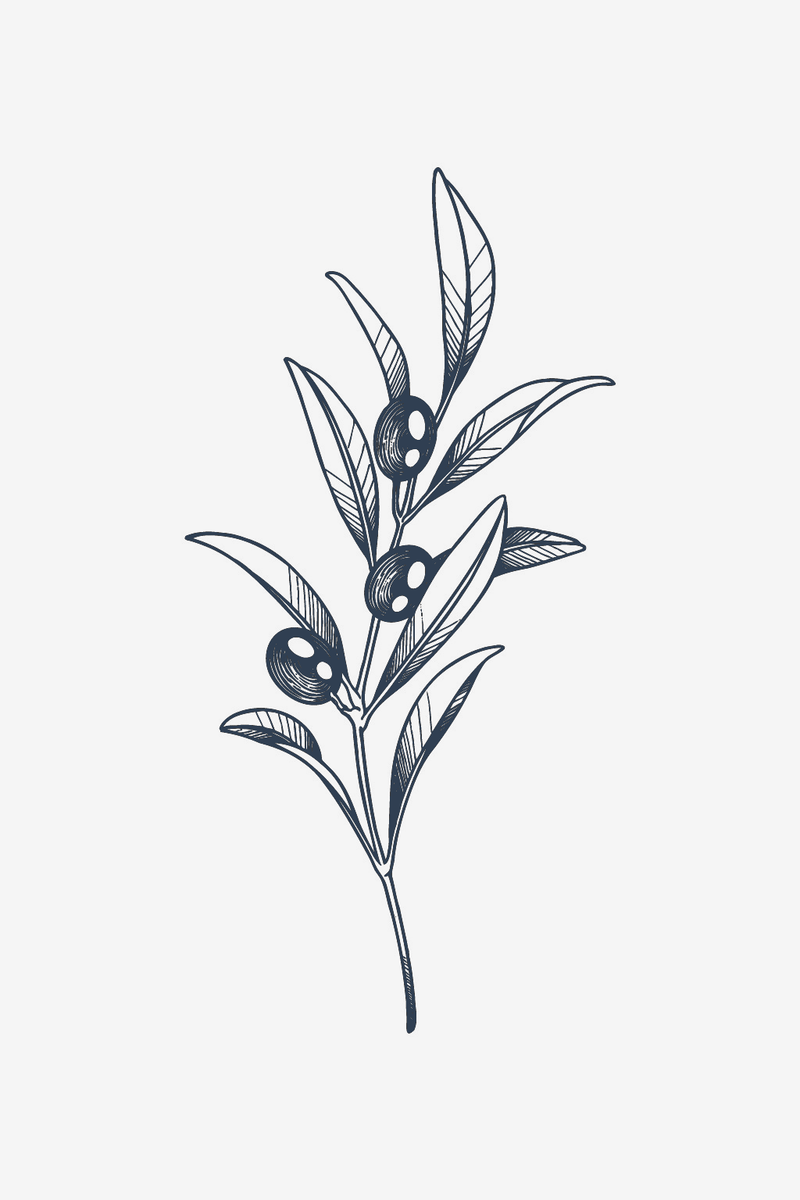 Aceituna