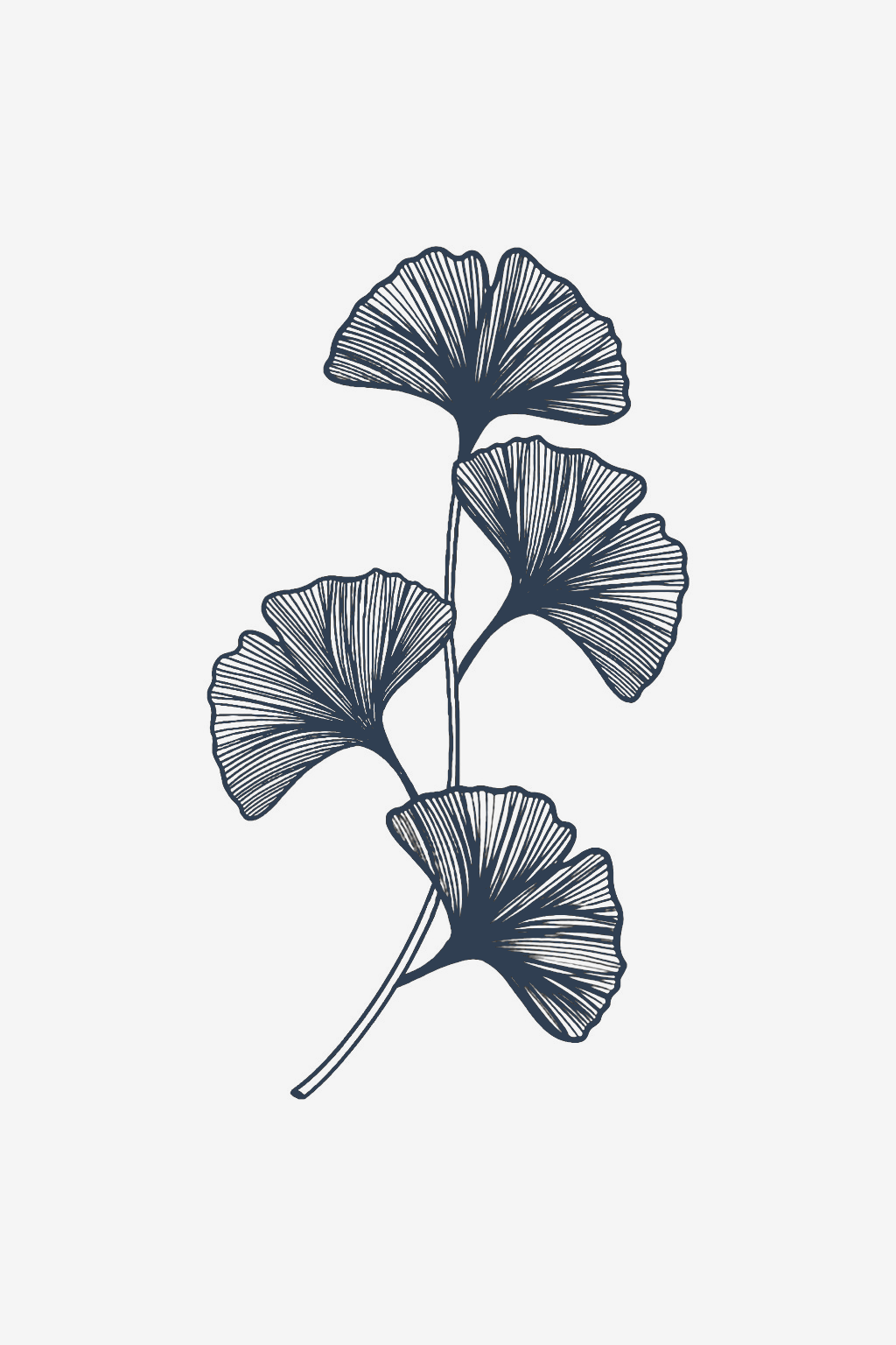 El abanico de la vida