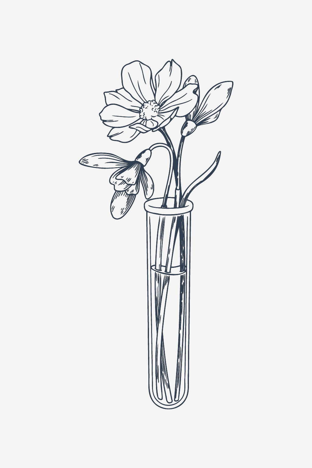 Estudio floral