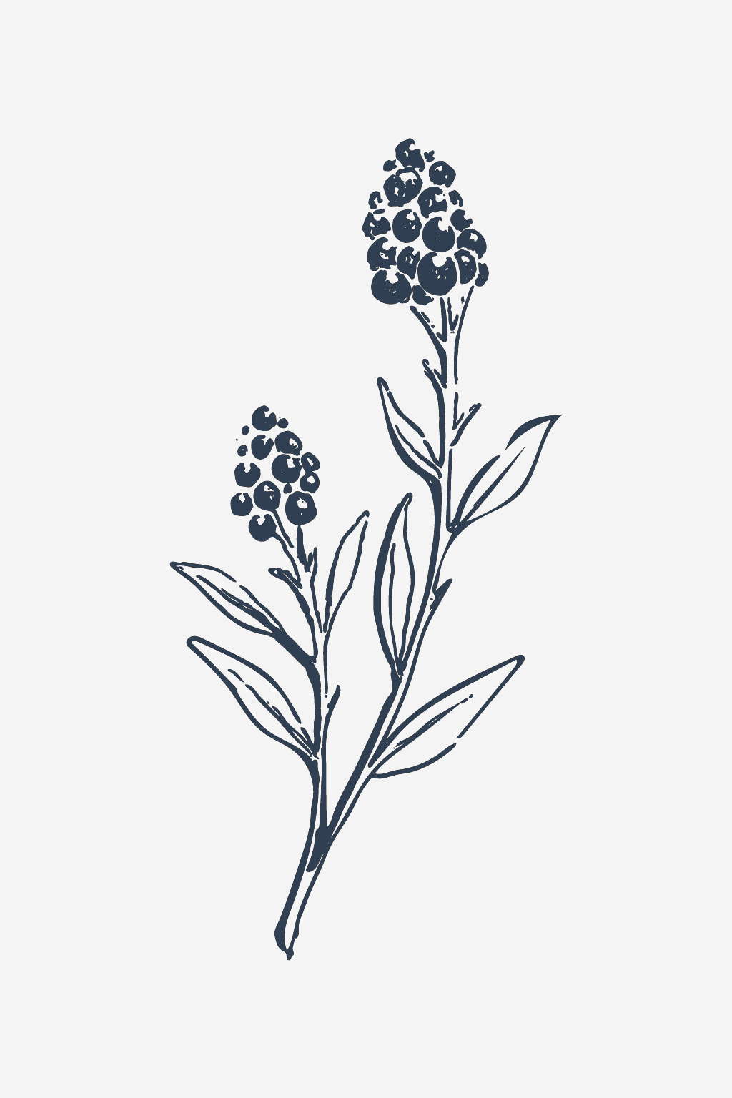 Flores silvestres