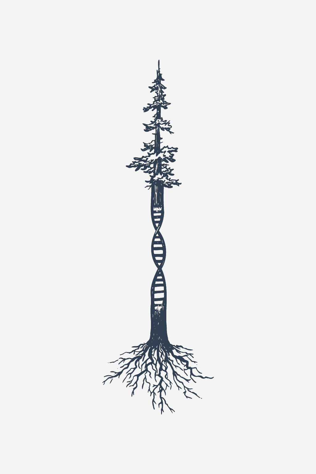 Evolución