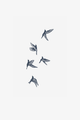 Pájaros