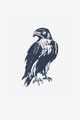 Águila