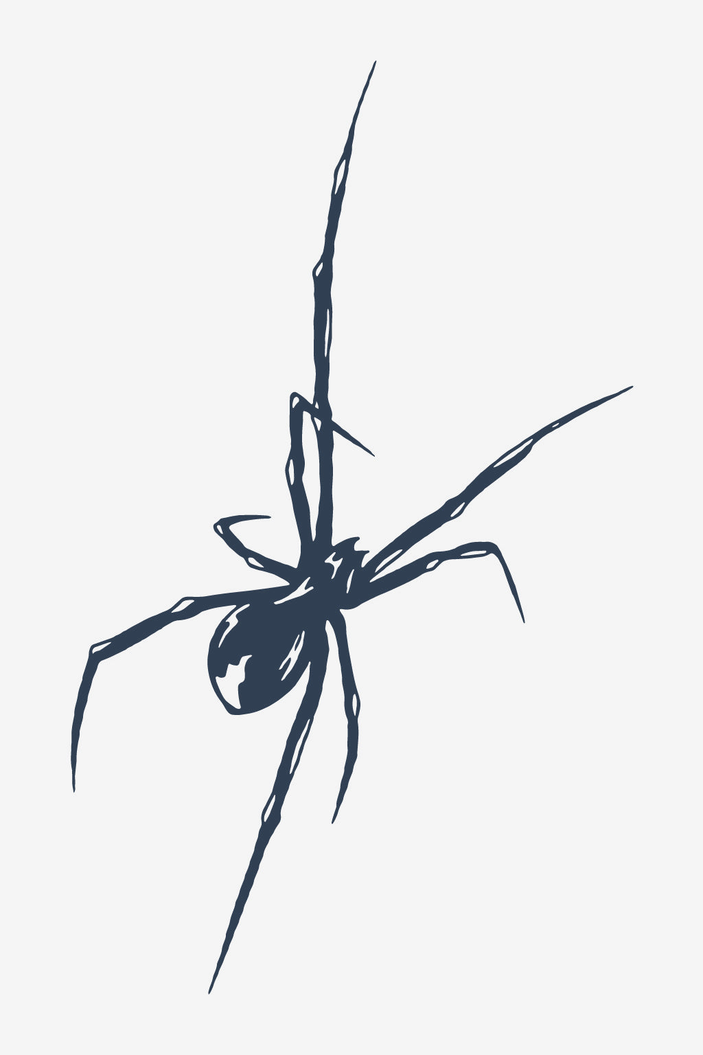Aracne