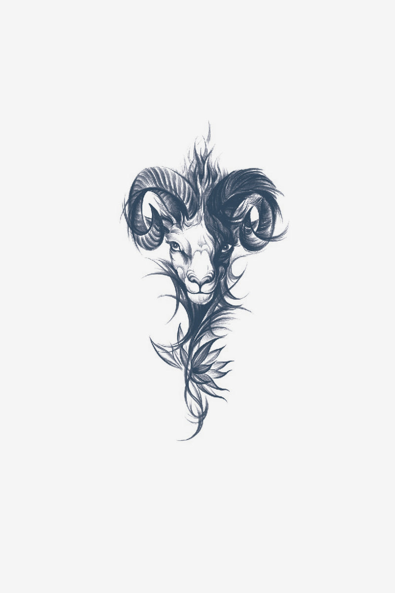 RAM