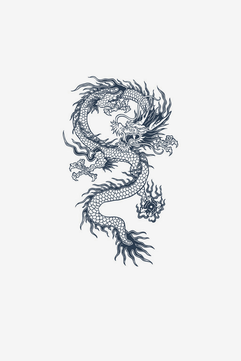 Dragón 3