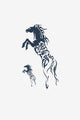 Caballo