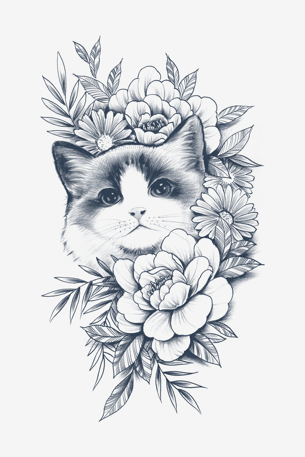 Purrfección