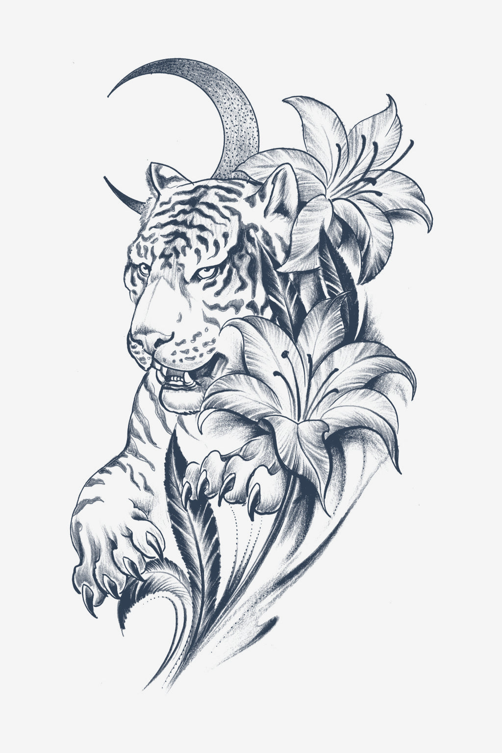 Ferocidad