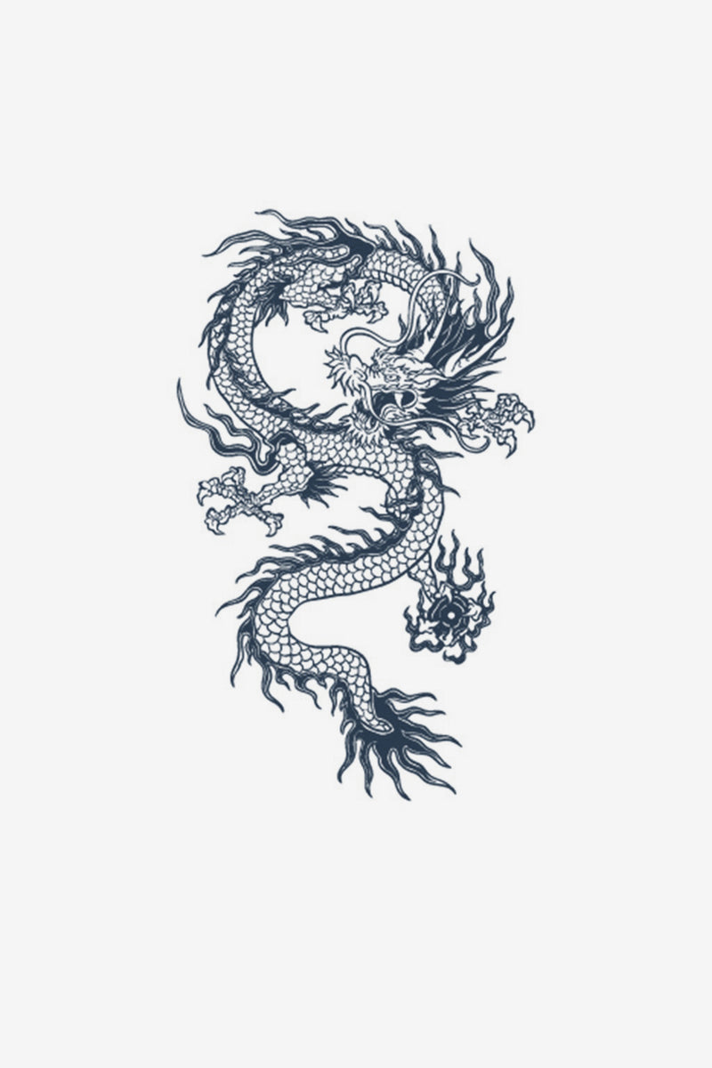 Dragón legendario