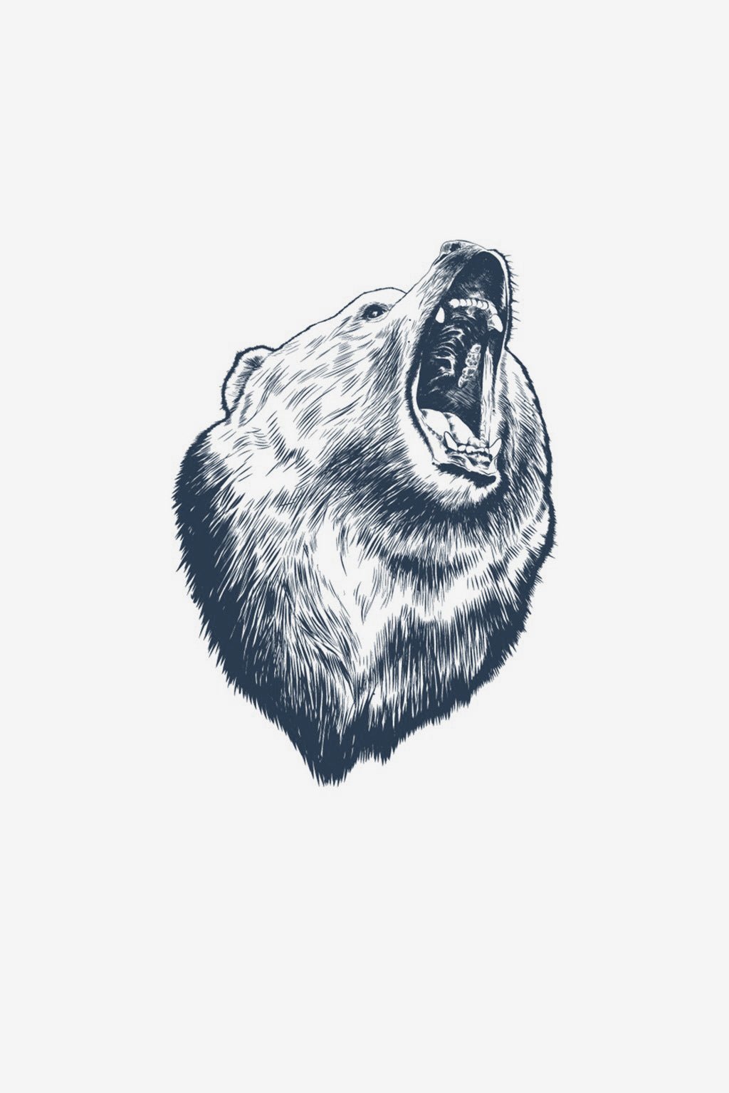 El espíritu del bosque