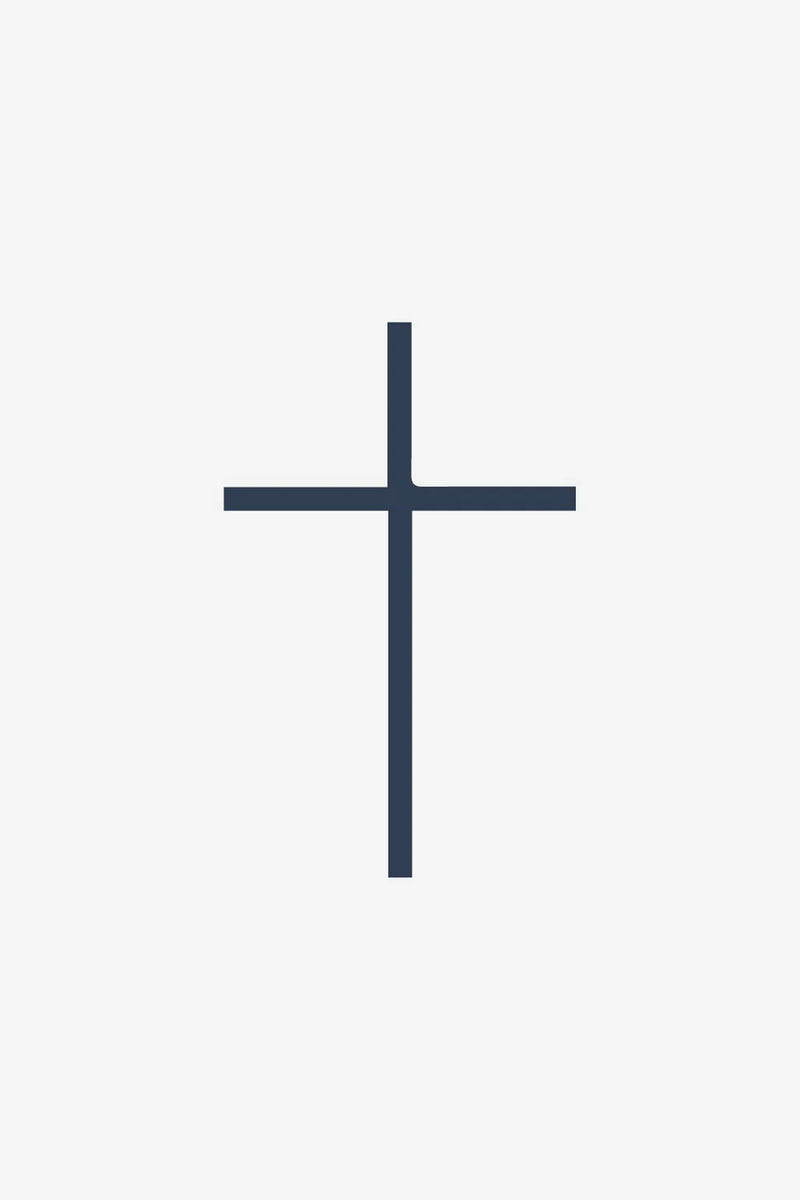 Fe