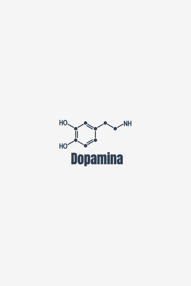 Felicidad Química