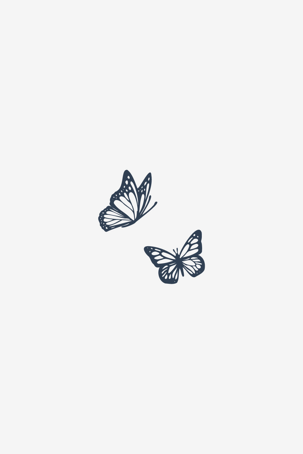 Vuelo dual