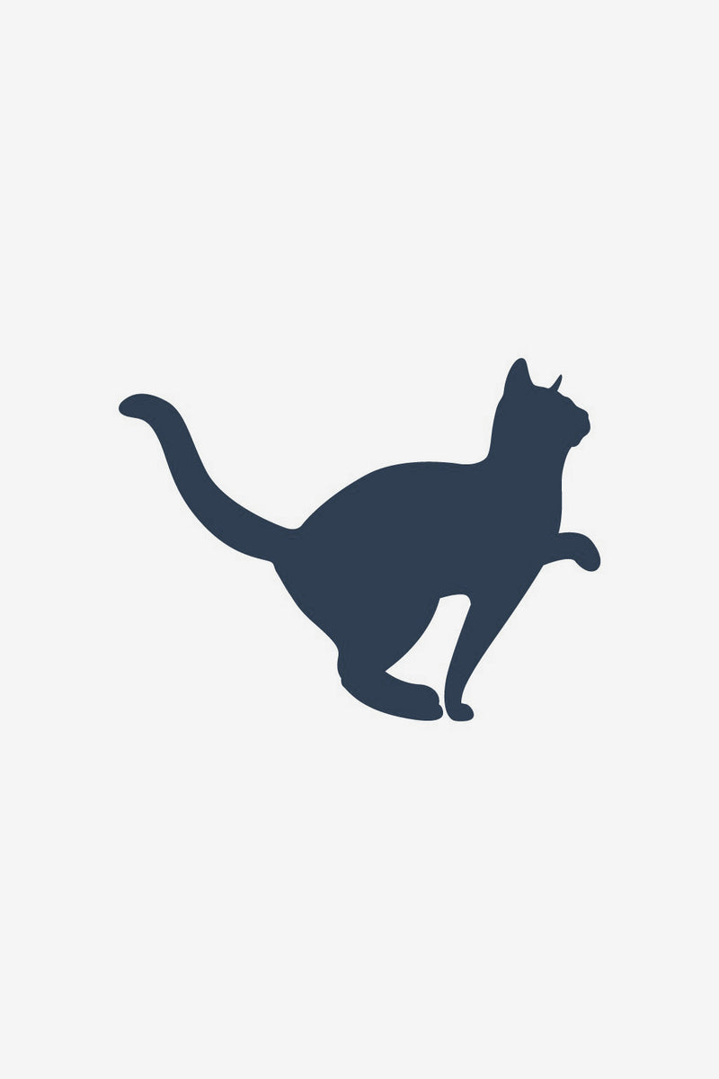 Gata 2