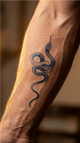 Serpiente Elegante